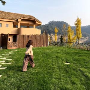 山顶摸鱼事务SUO头像