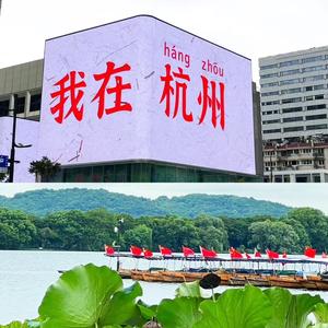 被贬的白白头像