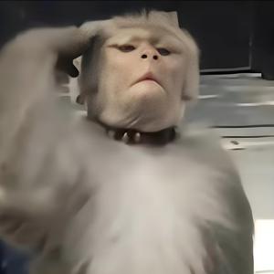 口马口娄（见过Sum41和陶喆版）头像