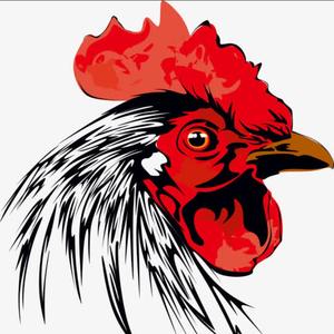 亳味麻椒鸡总店头像