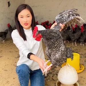 嘉祥创金养殖技术头像