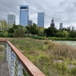 桃子布丁🍑头像