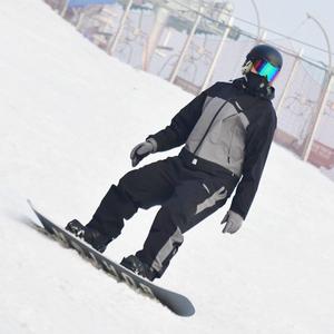 🐨有π头（上岸版）头像