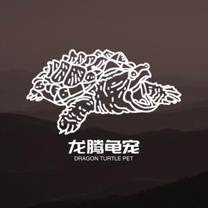 龙腾龟宠头像