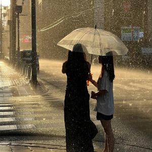 兔兔不秃头头像