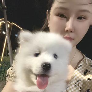 无敌宝贝芬头像
