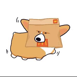 辣条是柯基头像