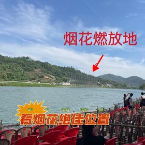 老张带你看烟花～头像