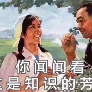 佳敏头像