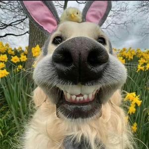 可爱超膘🦄头像