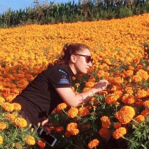 幸运四叶草头像