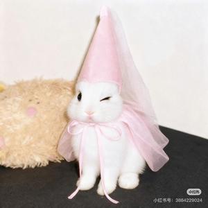 椰子味的月亮头像