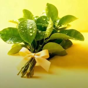 @yang  ᥫᩣ໌້ᮨ头像