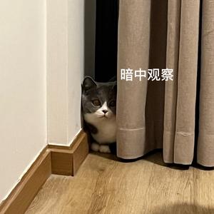 多喝热水早点睡头像