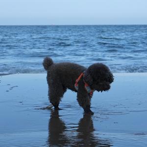 🌈黑妞性别女头像