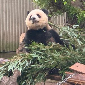 深夜研究所头像