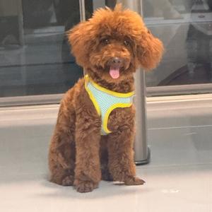 每周说一说头像