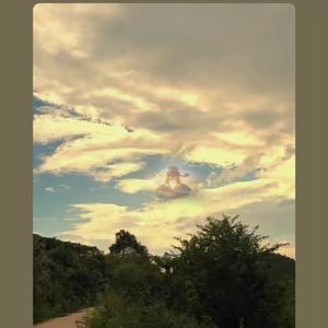 信命，但是我不认命头像