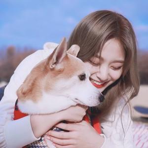 *⸜( •ᴗ• )⸝*头像