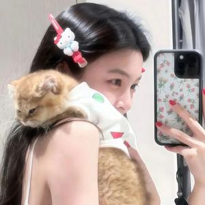 橘色天际线.头像