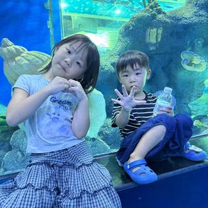 柚宝成长记头像