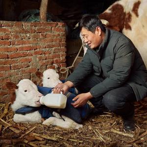 龙兽医（日常切片）头像