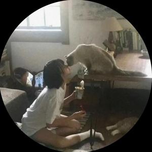 一份椰椰冻头像