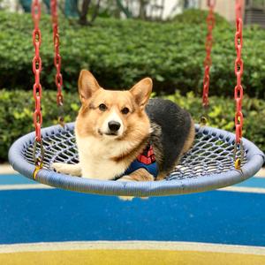 咯叽的今天头像