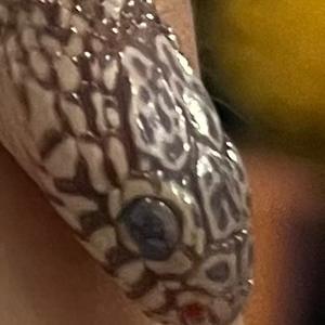 终究是霉乐头像