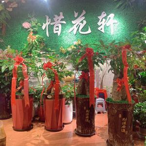 官浔惜花轩花束绿植盆栽房屋出租头像