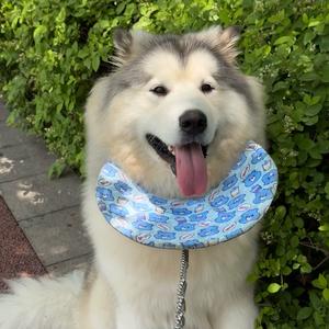 杠开吃不饱头像