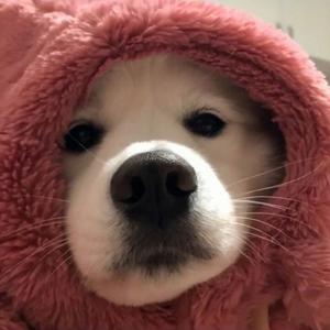 琳琳喜欢这个头像