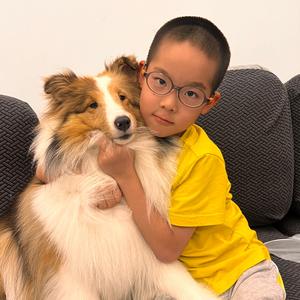 家有两只狗头像