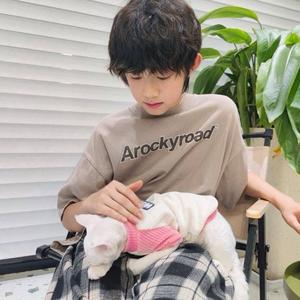你吃猪屁头像