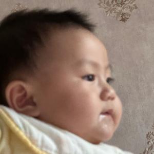 大馨儿的辅食日记📓头像