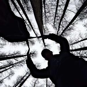 苹果爱香梨头像