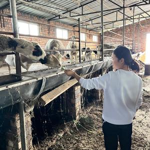 绿色养殖-李老师头像