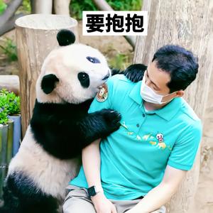 大鹅爱熊猫🍀头像