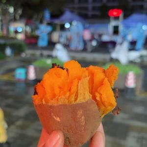 番茄不炒蛋ʚʕ̯•͡ˑ͓•̯头像