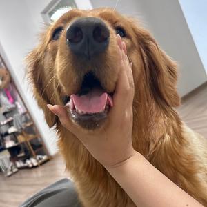 口水乱飞豆女士头像