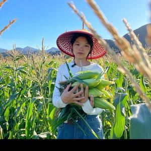 郑大钱 山货头像