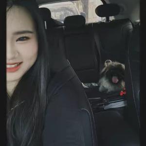 肉肉（发财版）头像