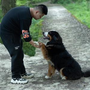 胖胖（无人机护农）头像
