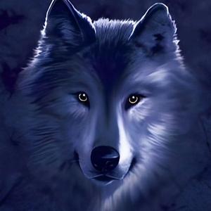 拾柒大实话头像