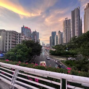 只爱锅包肉头像