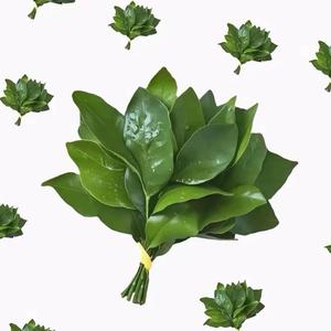 艾米爆爆爆头像