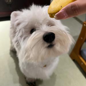 汪道吉的日常📿头像