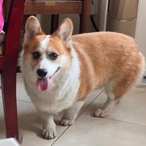 是土豆吖头像