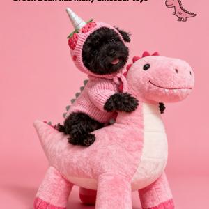 重庆-珈予萌宠-胖姐头像