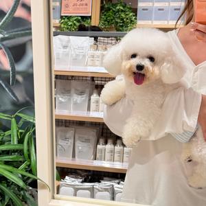 火锅不是煤气罐头像